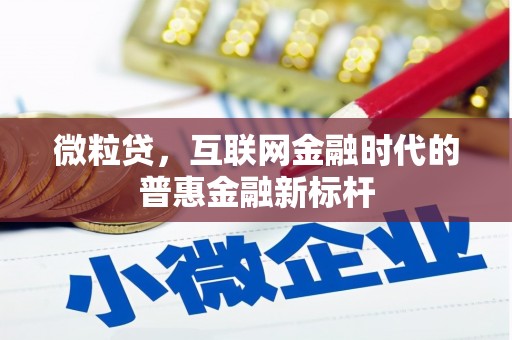 长城微粒贷，互联网金融时代的普惠金融新标杆