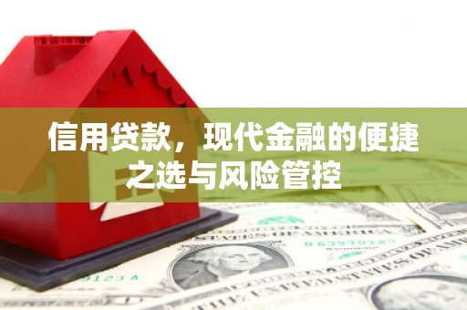 长城信用贷款，现代金融的便捷之选与风险管控