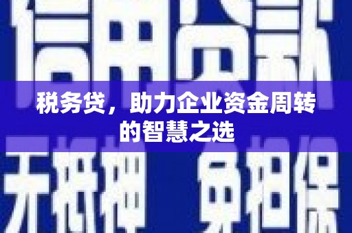 长城税务贷，助力企业资金周转的智慧之选