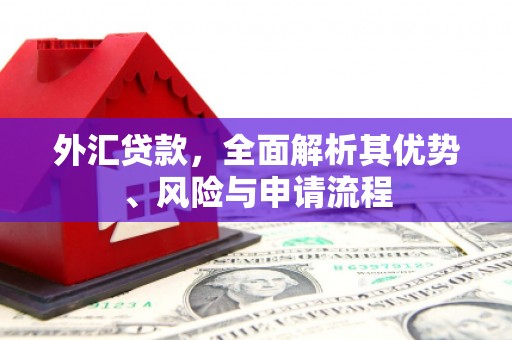 长城外汇贷款，全面解析其优势、风险与申请流程