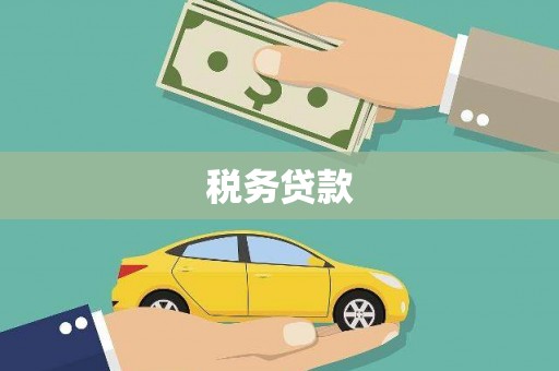 长城税务贷款