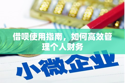 长城借呗使用指南，如何高效管理个人财务