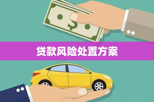 长城贷款风险处置方案
