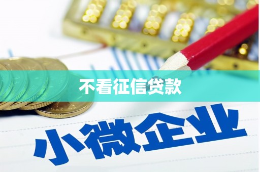 长城不看征信贷款