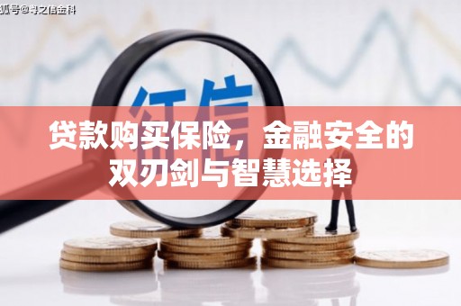 长城贷款购买保险，金融安全的双刃剑与智慧选择