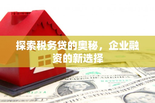 长城探索税务贷的奥秘，企业融资的新选择