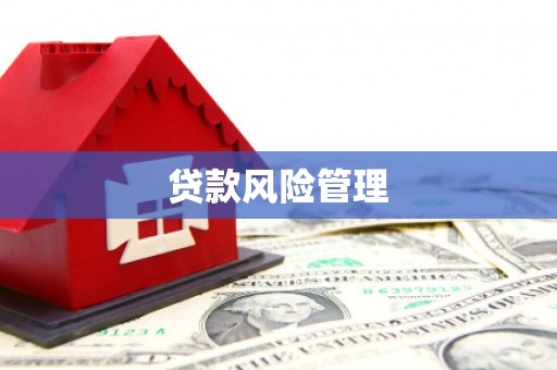 长城贷款风险管理