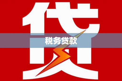 长城税务贷款