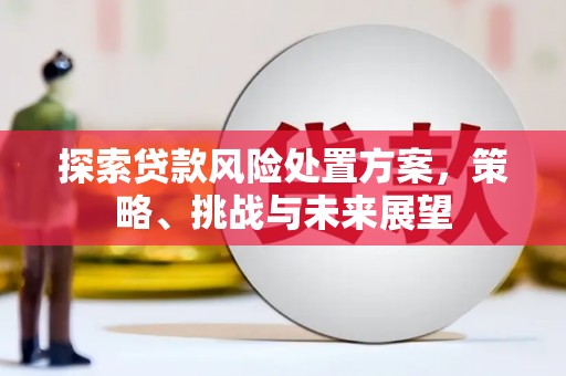 长城探索贷款风险处置方案，策略、挑战与未来展望