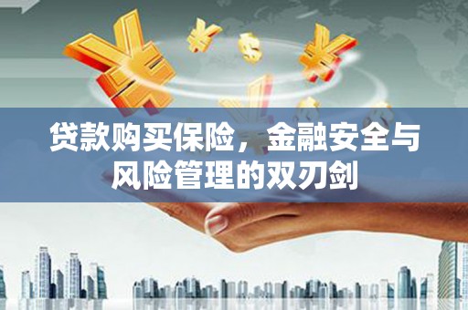 长城贷款购买保险，金融安全与风险管理的双刃剑