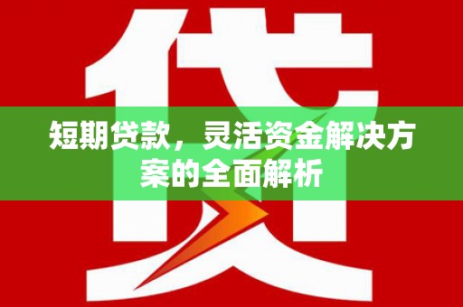 长城短期贷款，灵活资金解决方案的全面解析