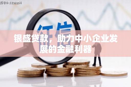 长城银盛贷款，助力中小企业发展的金融利器