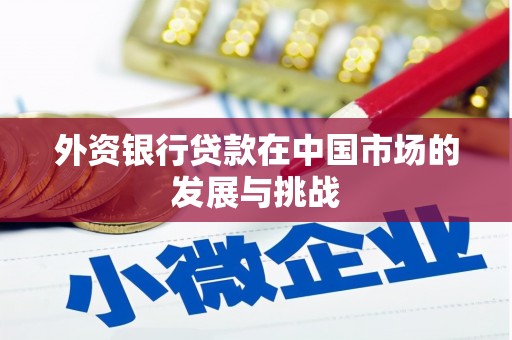 长城外资银行贷款在中国市场的发展与挑战