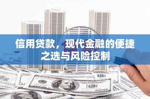 长城信用贷款，现代金融的便捷之选与风险控制