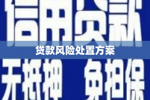 长城贷款风险处置方案