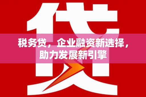 长城税务贷，企业融资新选择，助力发展新引擎
