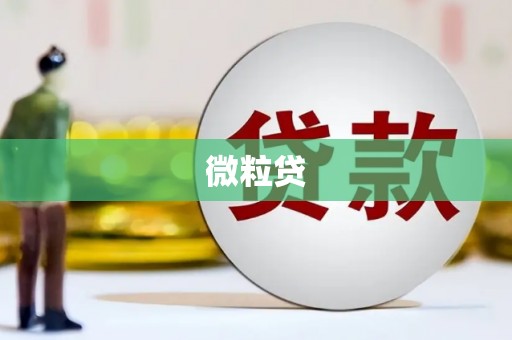长城微粒贷