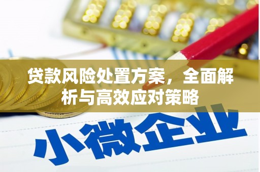 长城贷款风险处置方案，全面解析与高效应对策略
