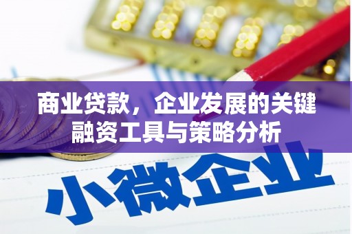 长城商业贷款，企业发展的关键融资工具与策略分析