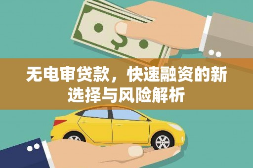 长城无电审贷款，快速融资的新选择与风险解析