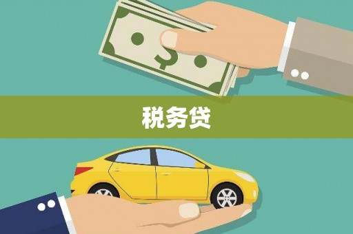长城税务贷