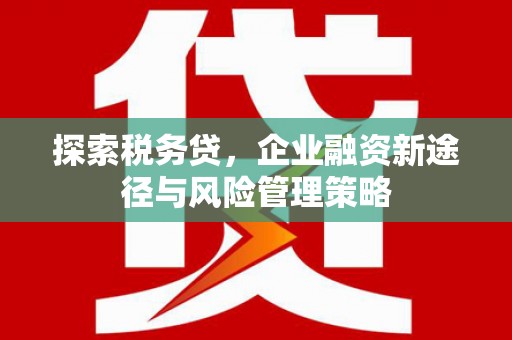 长城探索税务贷，企业融资新途径与风险管理策略