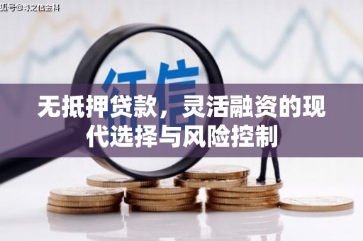 长城无抵押贷款，灵活融资的现代选择与风险控制