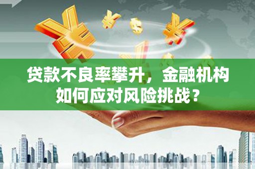 长城贷款不良率攀升，金融机构如何应对风险挑战？