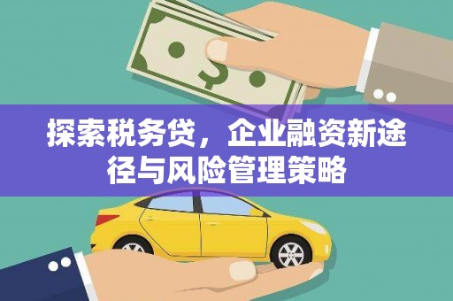 长城探索税务贷，企业融资新途径与风险管理策略