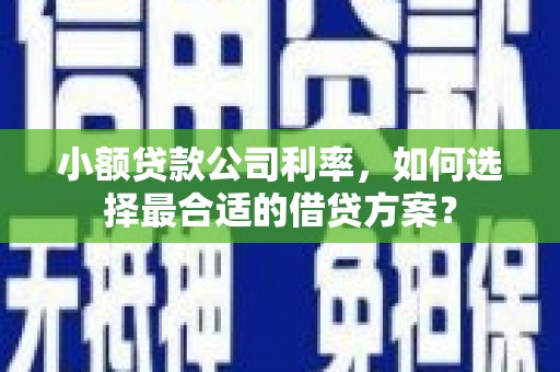 长城小额贷款公司利率，如何选择最合适的借贷方案？