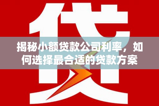 长城揭秘小额贷款公司利率，如何选择最合适的贷款方案