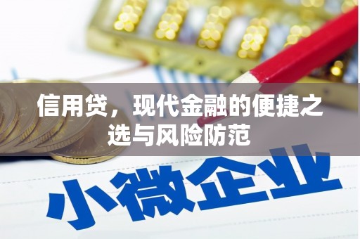长城信用贷，现代金融的便捷之选与风险防范