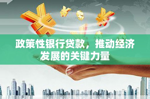 长城政策性银行贷款，推动经济发展的关键力量
