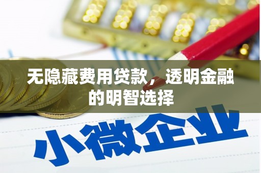 长城无隐藏费用贷款，透明金融的明智选择