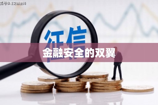 长城金融安全的双翼