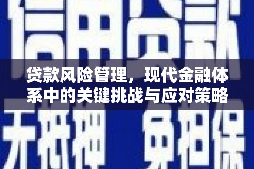 长城贷款风险管理，现代金融体系中的关键挑战与应对策略