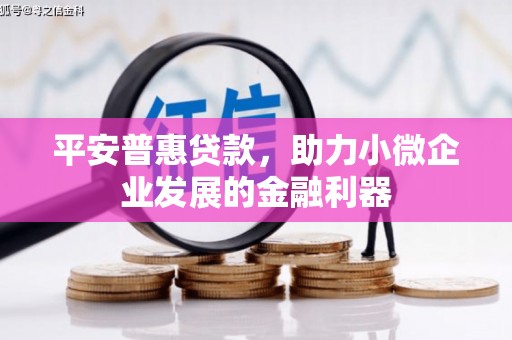 长城平安普惠贷款，助力小微企业发展的金融利器
