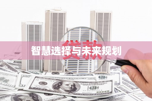 长城智慧选择与未来规划