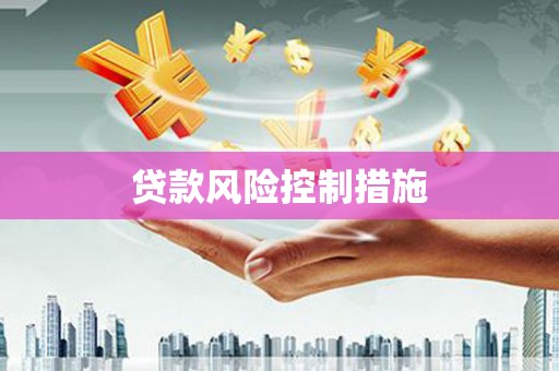 长城贷款风险控制措施