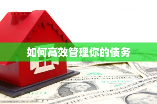 长城如何高效管理你的债务