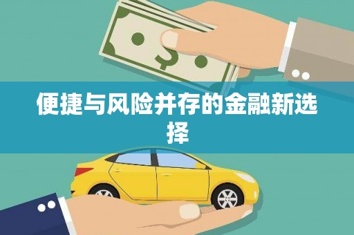 长城便捷与风险并存的金融新选择