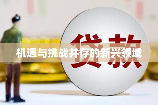 长城机遇与挑战并存的新兴领域