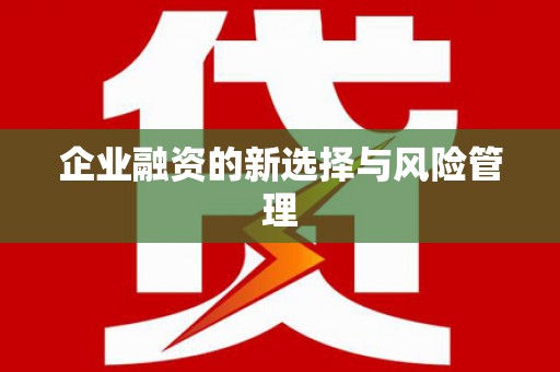 长城企业融资的新选择与风险管理