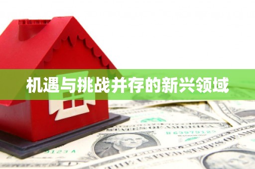 长城机遇与挑战并存的新兴领域