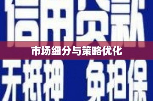 长城市场细分与策略优化