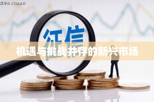 长城机遇与挑战并存的新兴市场