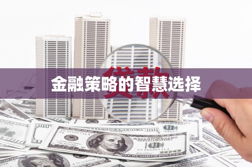 长城金融策略的智慧选择