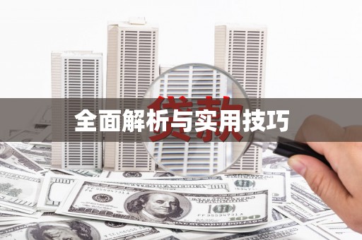 长城全面解析与实用技巧