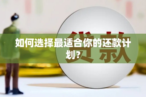 长城如何选择最适合你的还款计划？
