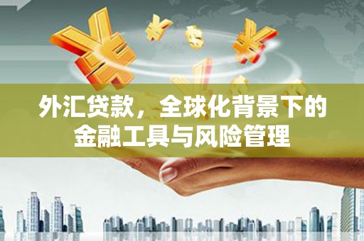 长城外汇贷款，全球化背景下的金融工具与风险管理